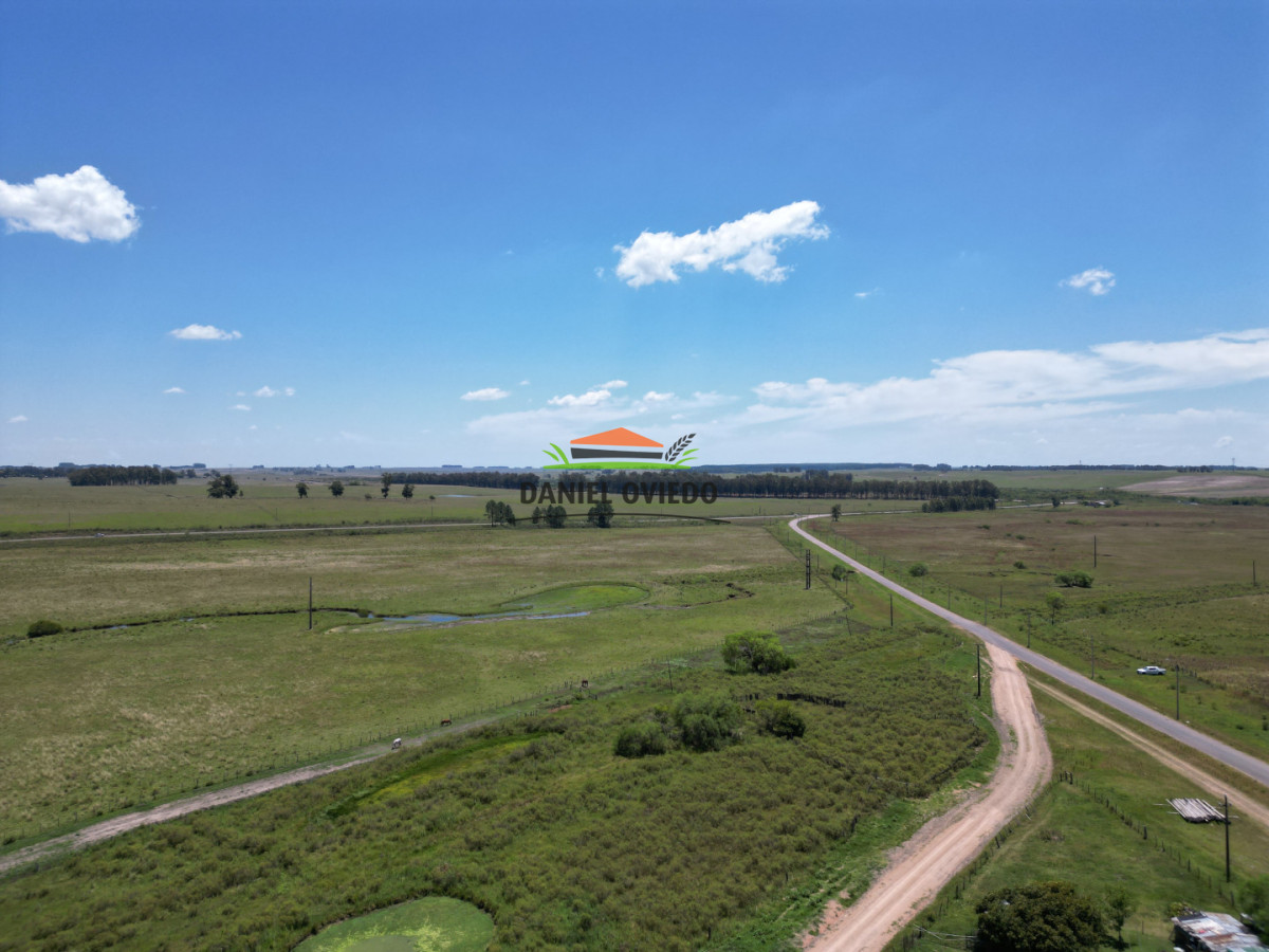 Campo Ref.357/Muy-buen-establecimiento-completo-en-venta-en-ruta-26-proximo-a-Melo. - Muy buen establecimiento completo en venta en ruta 26 proximo a Melo.