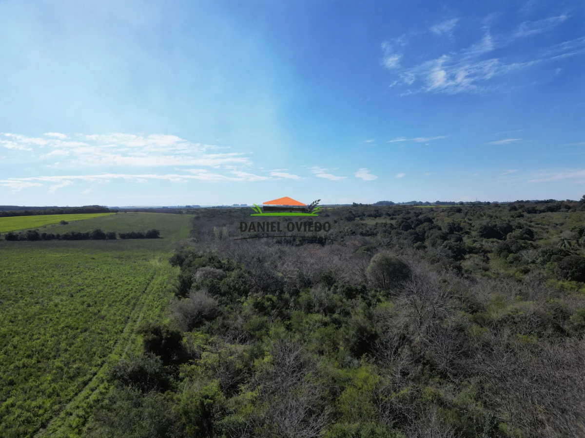 Campo Ref.414/ - ¡Nueva oportunidad rural proxima a Conchillas!