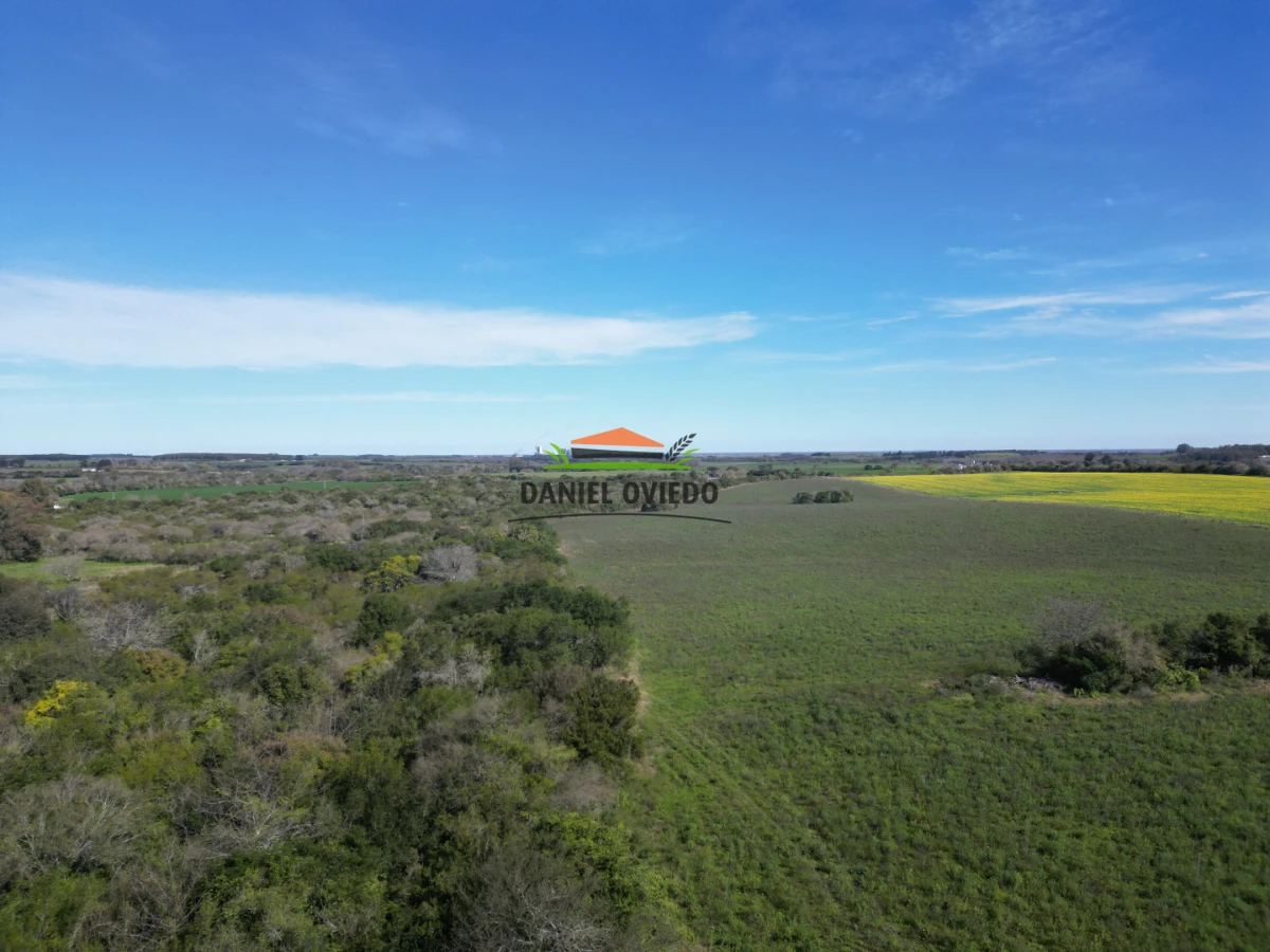 Campo Ref.414/ - ¡Nueva oportunidad rural proxima a Conchillas!