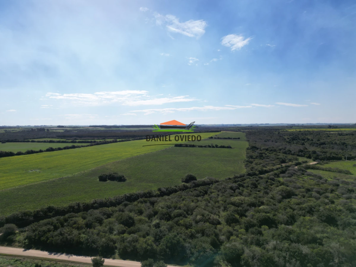 Campo Ref.414/ - ¡Nueva oportunidad rural proxima a Conchillas!