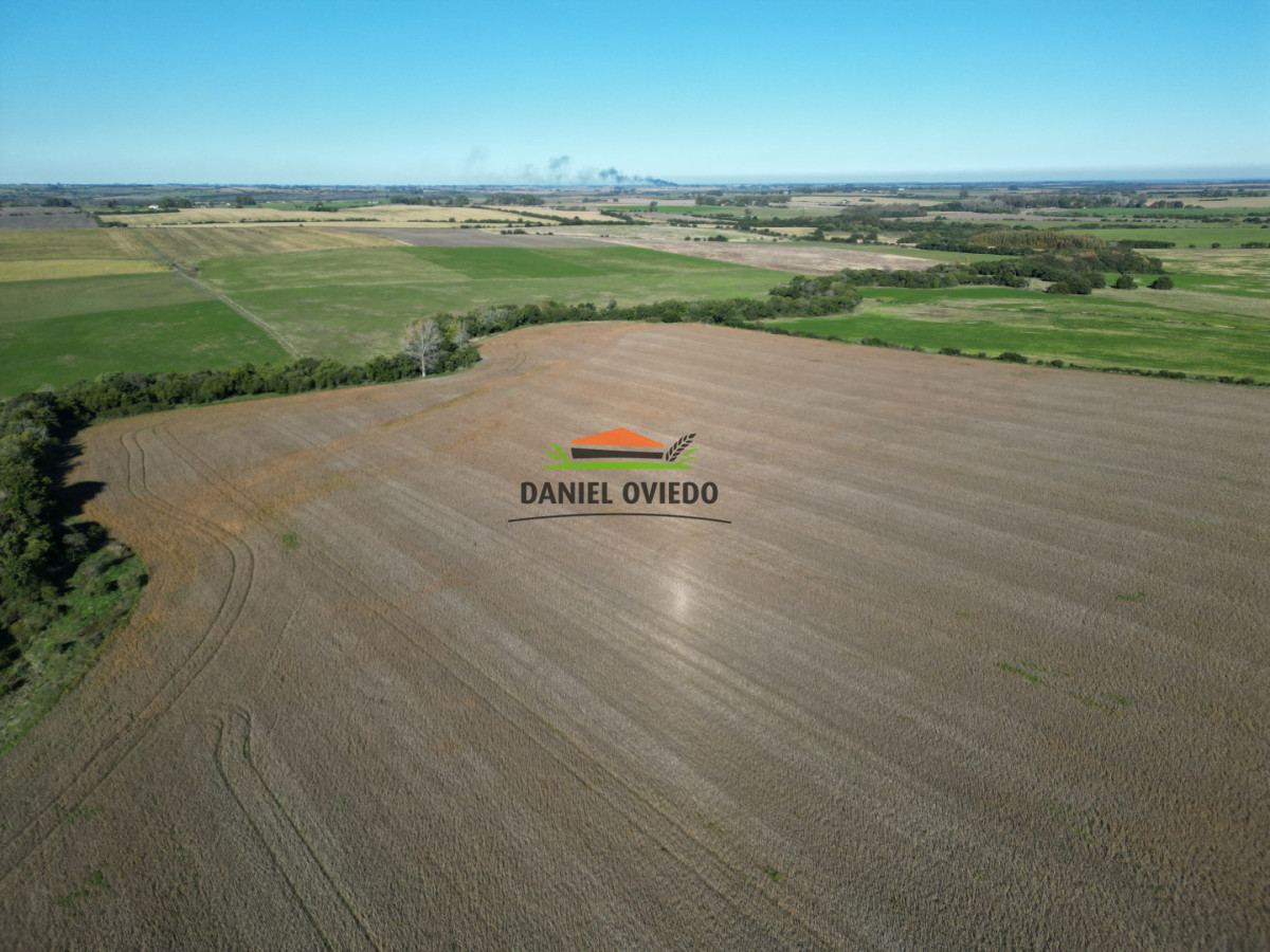 Campo Ref.383/22-Hect - 22 Hectáreas Agrícolas sobre Ruta 1 | Excelente Ubicación y Muy Buenos Suelos
