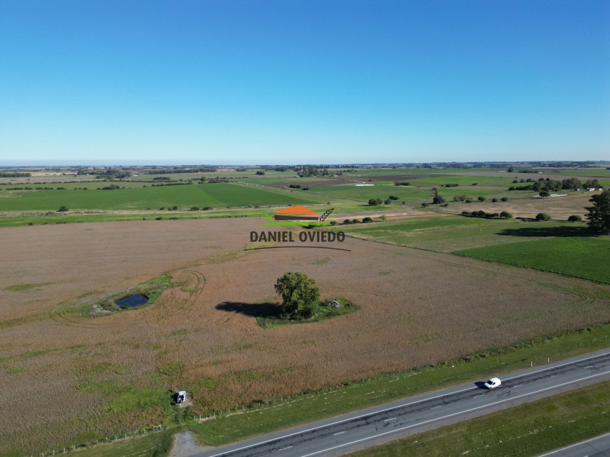 Campo Ref.383/22-Hect - 22 Hectáreas Agrícolas sobre Ruta 1 | Excelente Ubicación y Muy Buenos Suelos
