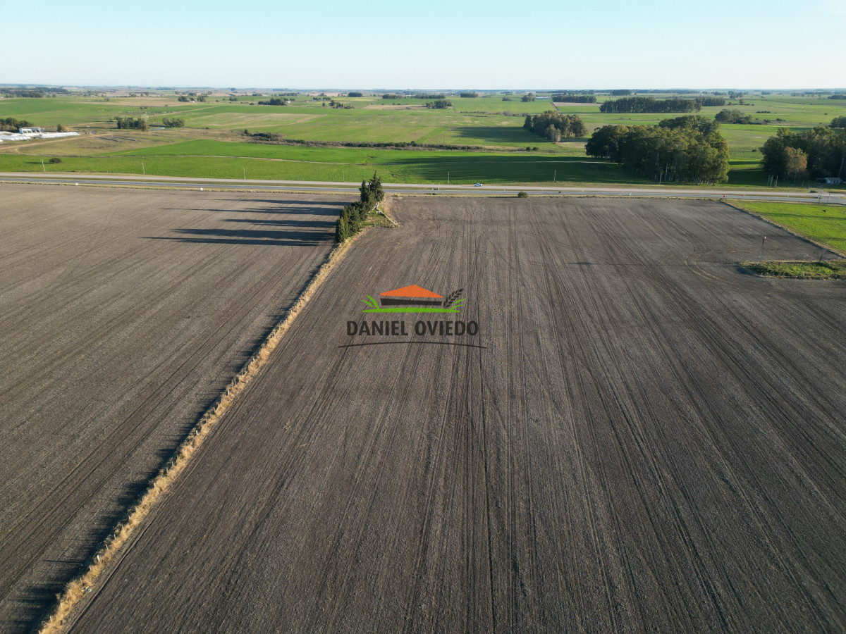 Campo Ref.207 - Excelente campo agrícola en venta en ruta 1, San José.