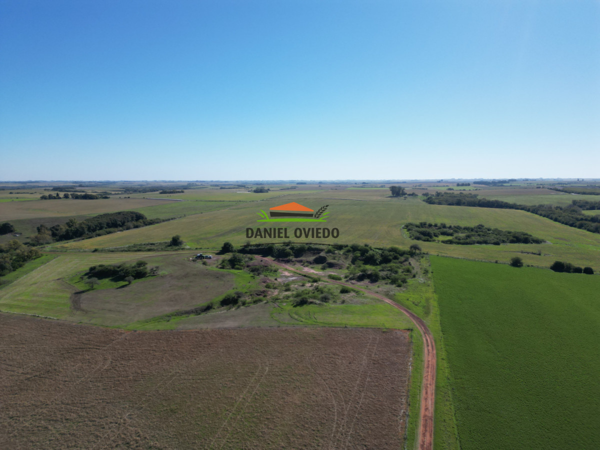 Campo Ref.381/Campo-agr - Campo agrícola en venta en zona de Víboras, Colonia.