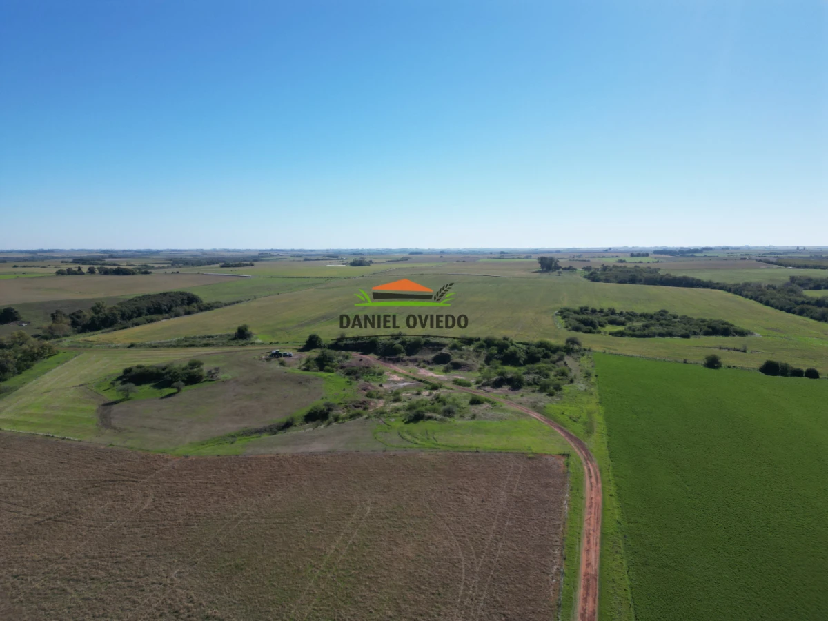 Campo Ref.381/Campo-agr - Campo agrícola en venta en zona de Víboras, Colonia.