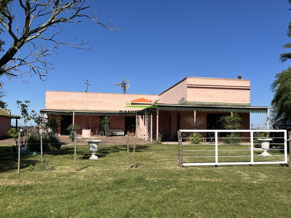Campo Ref.381/Campo-agr - Campo agrícola en venta en zona de Víboras, Colonia.
