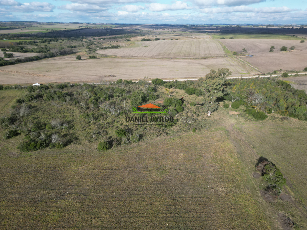 Campo Ref.208 - Campo agrícola ganadero de 20,95 has en Miguelete de Campana.