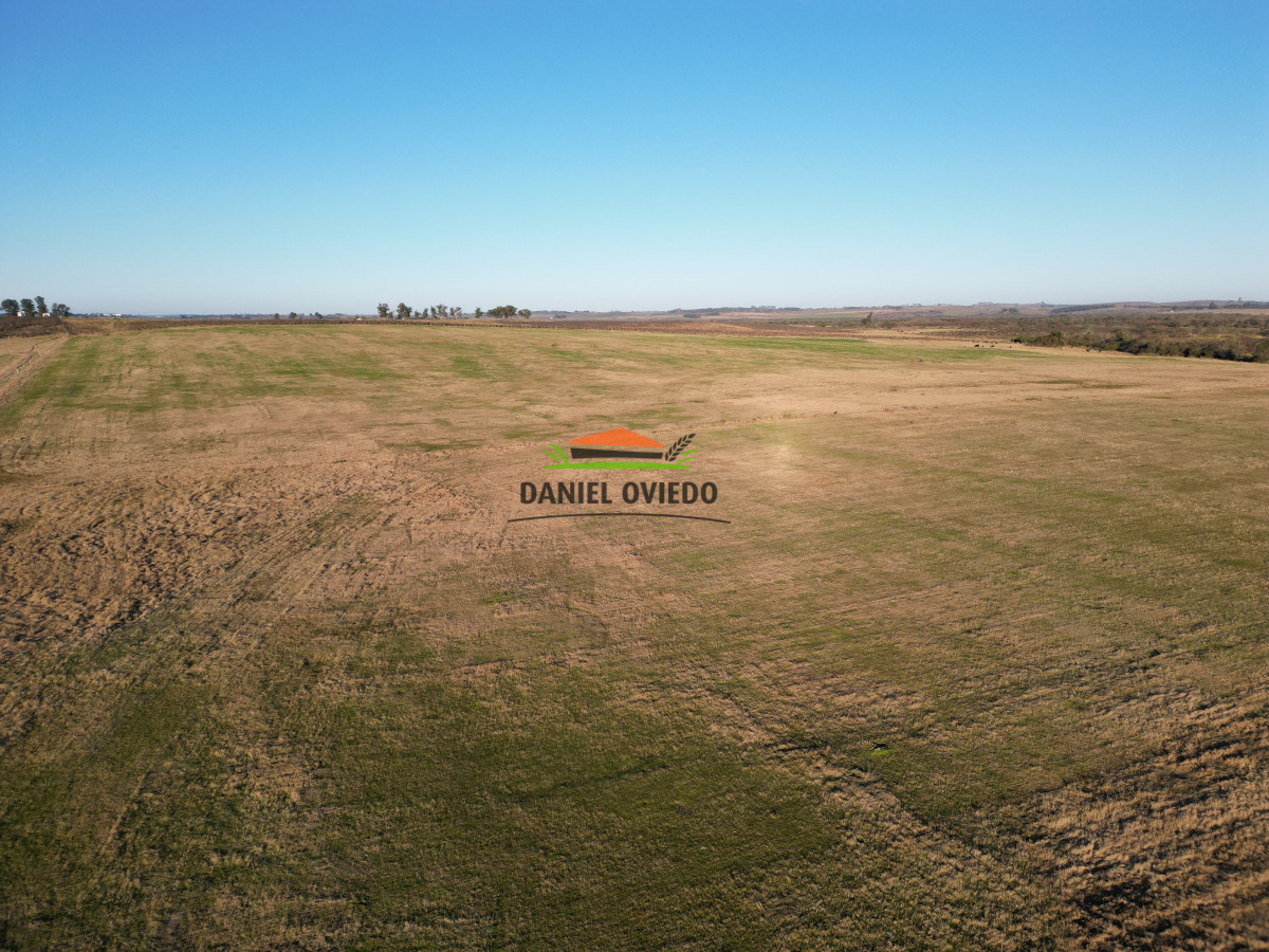 Campo Ref.223/Establecimiento-de-760-hás-en-venta-en-Cerro-Largo. - Establecimiento de 760 hás en venta en Cerro Largo.