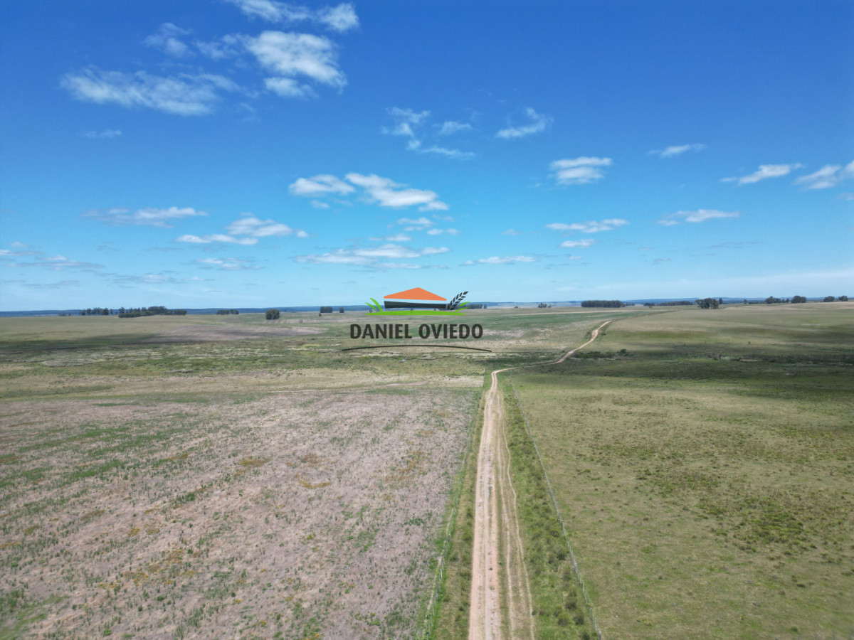 Campo Ref.359/Estancia-de-945-has-en-venta-en-Cerro-Largo. - Estancia de 945 has en venta en Cerro Largo.