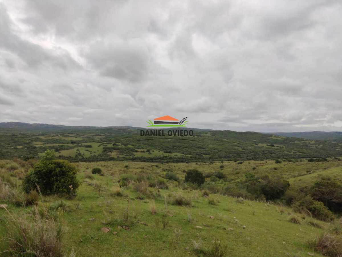 Campo Ref.364/39-has-en-venta-con-costa-de-arroyo-en-sierras-de-Garzón - 39 has en venta con costa de arroyo en sierras de Garzón