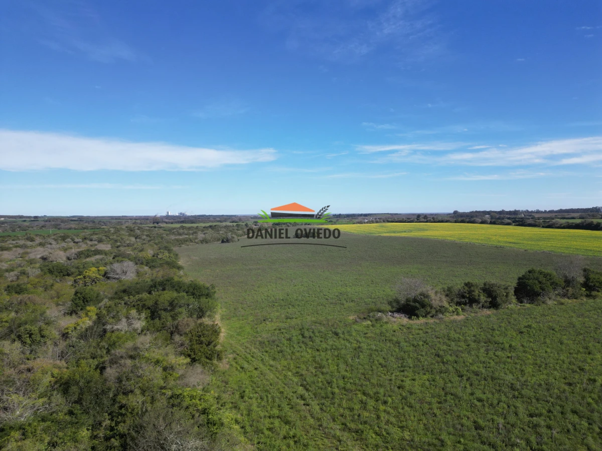 Campo Ref.414/ - ¡Nueva oportunidad rural proxima a Conchillas!