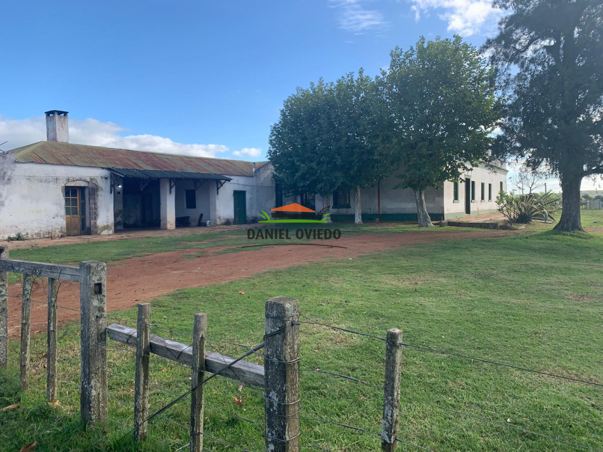 Campo Ref.210 - Estancia ganadera completa en venta de 3.000 has en Cerro Largo.