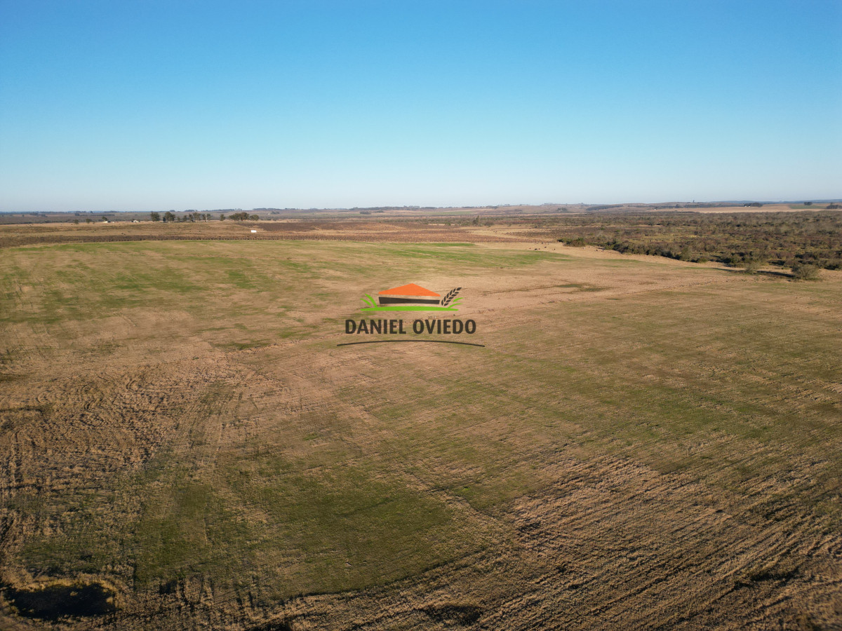 Campo Ref.223/Establecimiento-de-760-hás-en-venta-en-Cerro-Largo. - Establecimiento de 760 hás en venta en Cerro Largo.