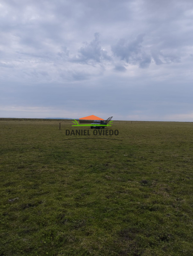 Campo Ref.306/Buen-campo-ganadero-en-venta-La-Coronilla,-Rocha. - Buen campo ganadero en venta La Coronilla, Rocha.