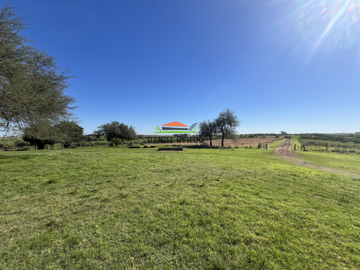 Campo Ref.381/Campo-agr - Campo agrícola en venta en zona de Víboras, Colonia.