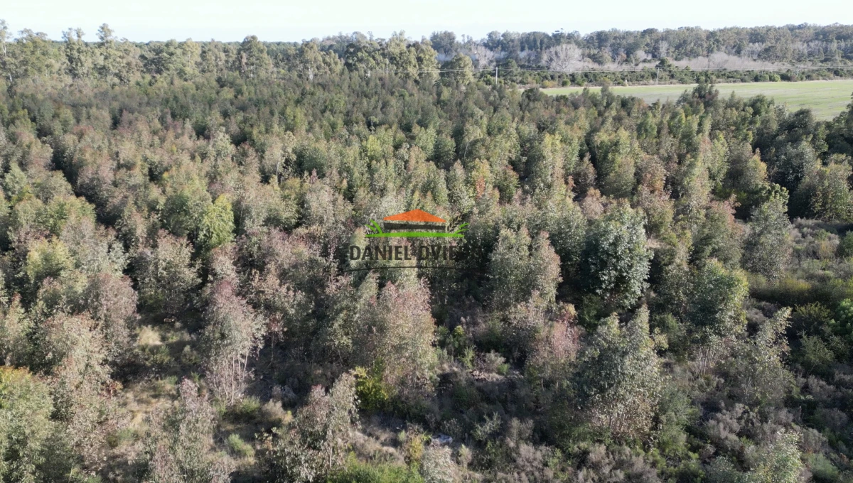 Campo Ref.235/Campo-agr - Campo agrícola de 23.8 has próximo a balneario Artilleros.