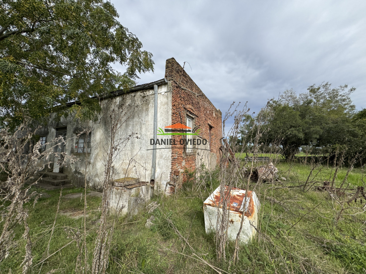 Campo Ref.377/Establecimiento-con-f - Establecimiento con fábrica y 33 Hás de campo - Instalaciones y equipamiento incluidos | Colonia