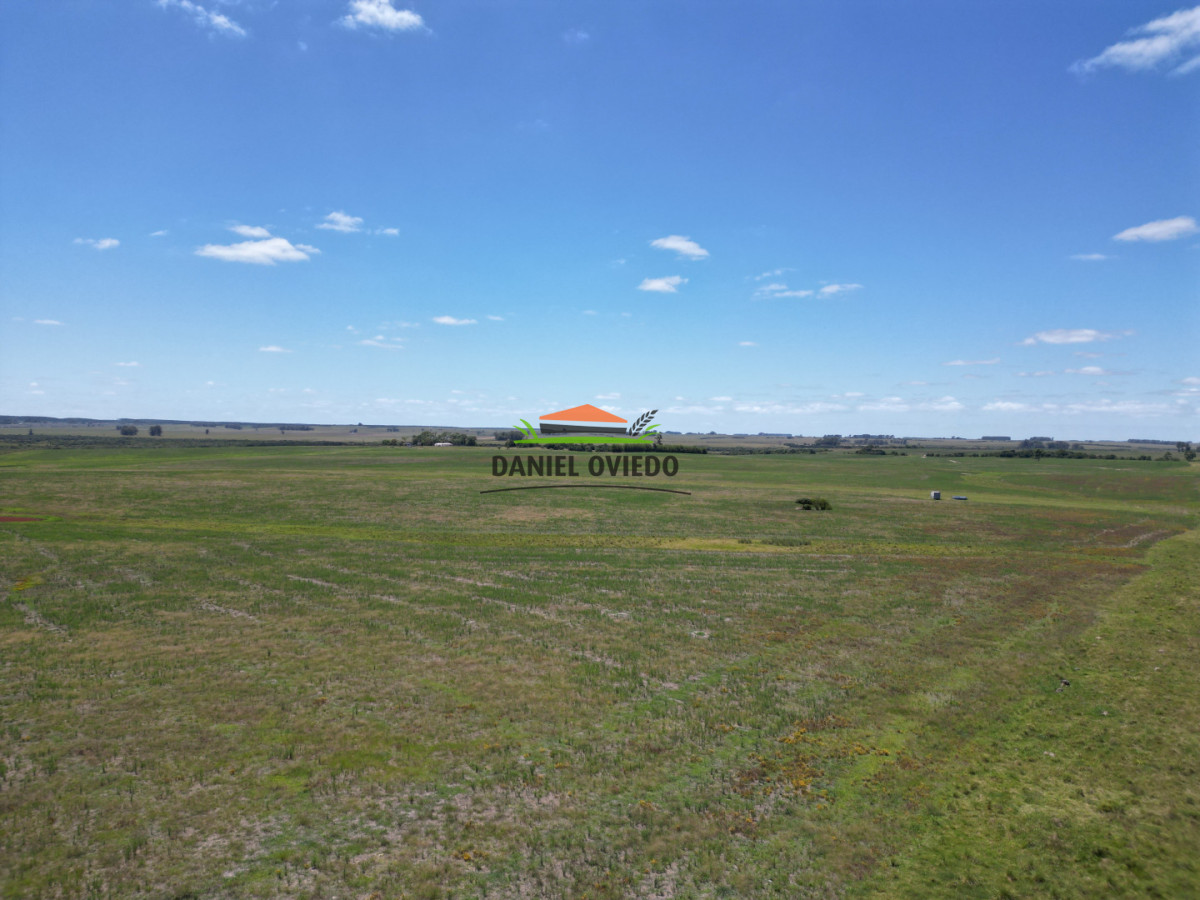Campo Ref.359/Estancia-de-945-has-en-venta-en-Cerro-Largo. - Estancia de 945 has en venta en Cerro Largo.