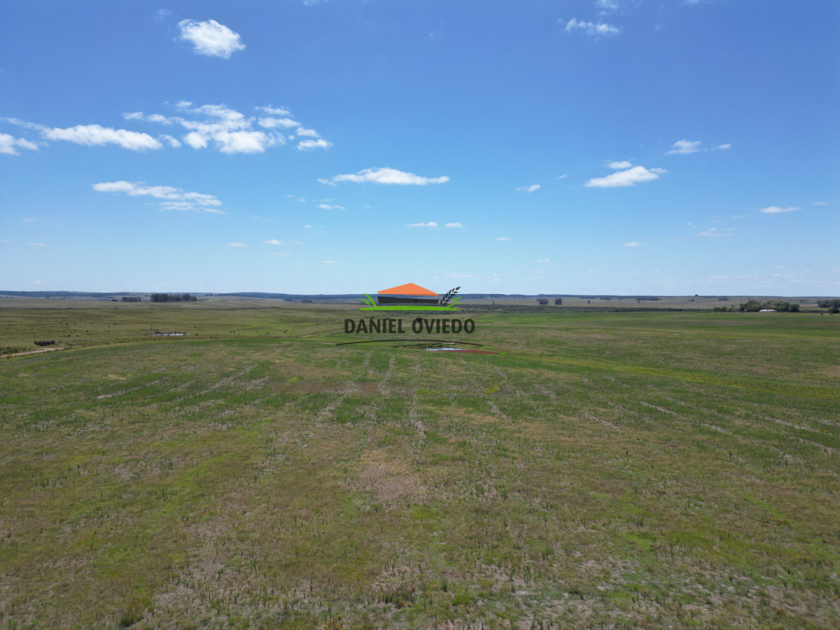 Campo Ref.359/Estancia-de-945-has-en-venta-en-Cerro-Largo. - Estancia de 945 has en venta en Cerro Largo.