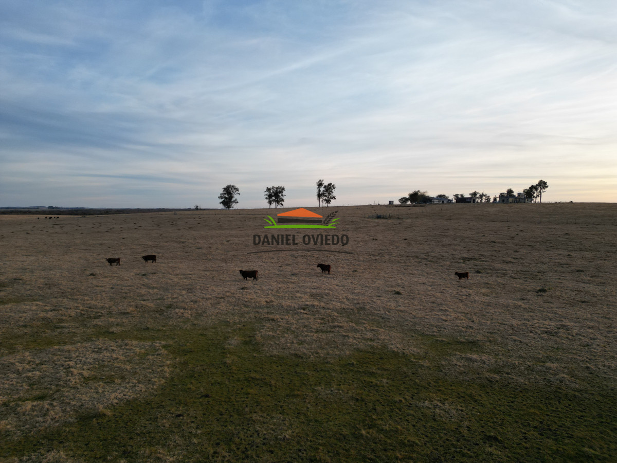 Campo Ref.223/Establecimiento-de-760-hás-en-venta-en-Cerro-Largo. - Establecimiento de 760 hás en venta en Cerro Largo.