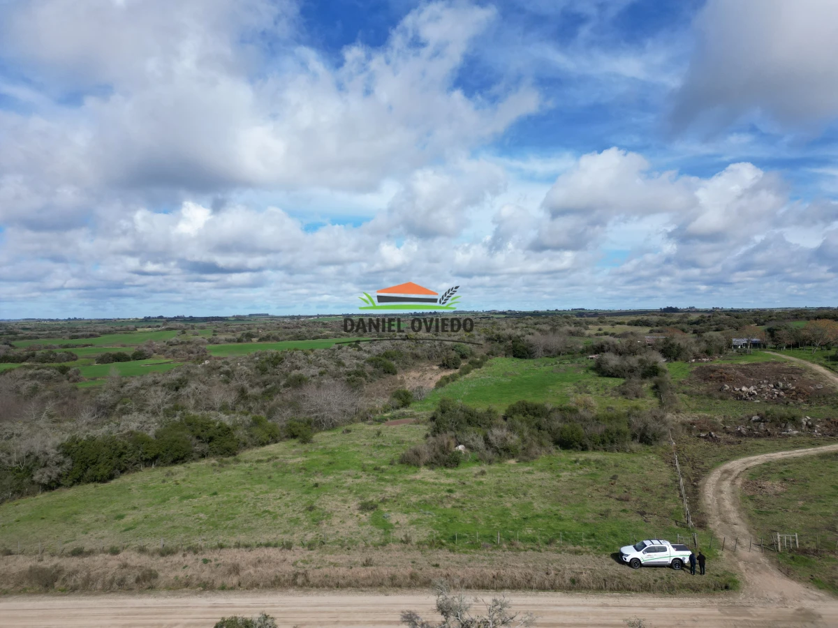 Campo Ref.249/Buen-campo-ganadero-en-venta-ideal-para-engorde. - Buen campo ganadero en venta ideal para engorde.