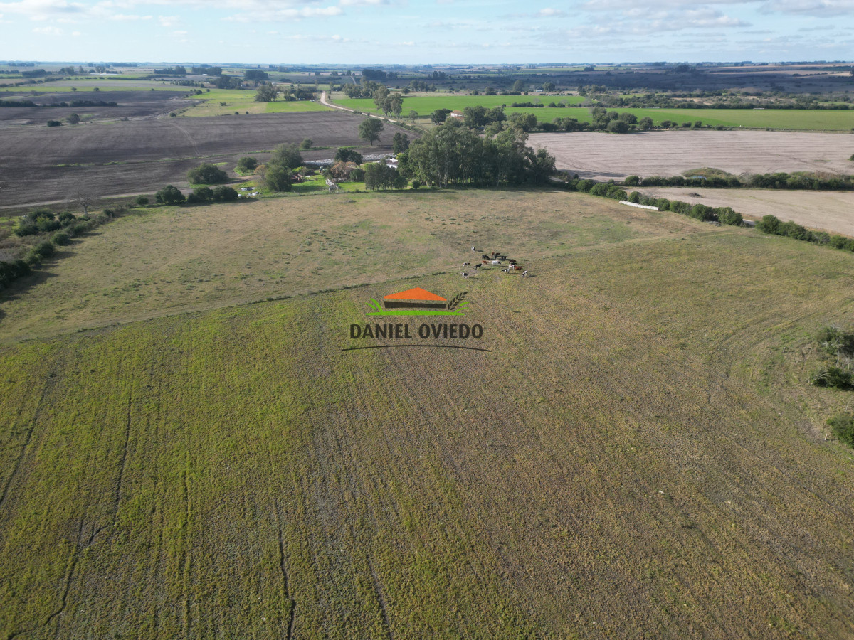 Campo Ref.208 - Campo agrícola ganadero de 20,95 has en Miguelete de Campana.