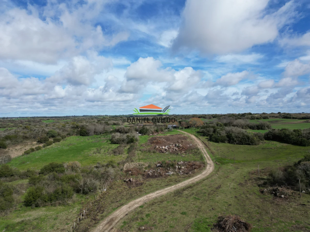Campo Ref.249/Buen-campo-ganadero-en-venta-ideal-para-engorde. - Buen campo ganadero en venta ideal para engorde.