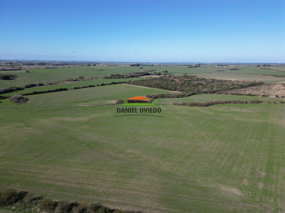 Campo Ref.244/Excelente-campo-agr - Excelente campo agrícola en venta en Víboras, Carmelo.