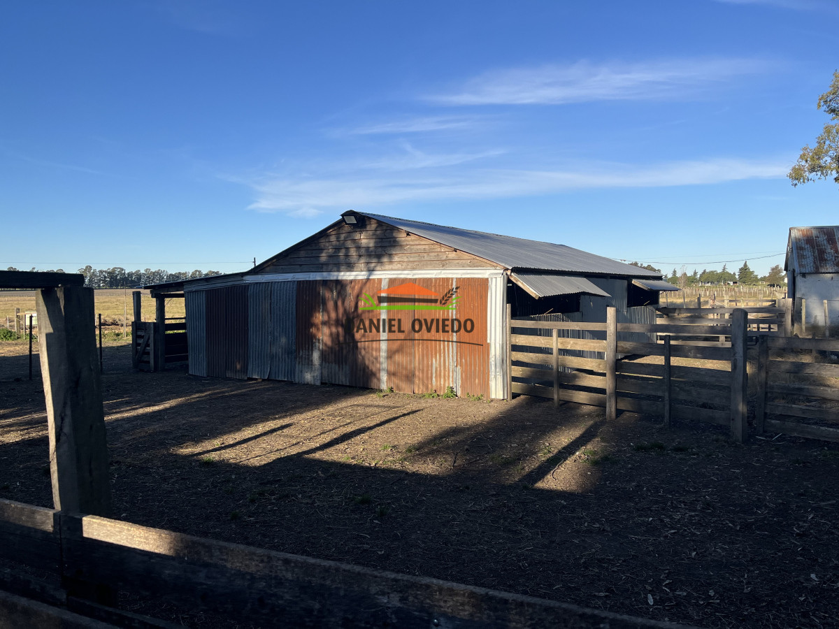 Campo Ref.209 - Excepcional ubicación en ruta 1 y campo productivo donde nadie vende.