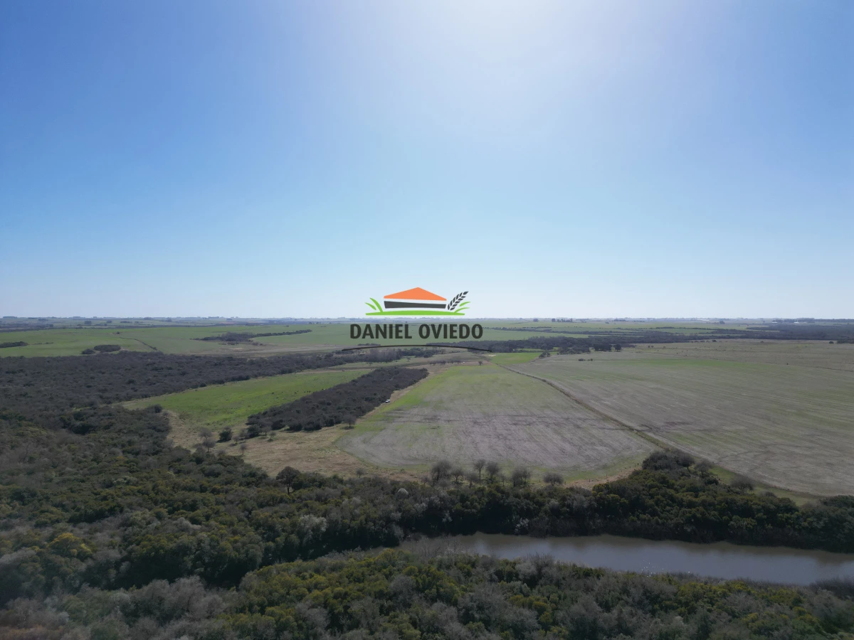 Campo Ref.243/Campo-agrícola-ganadero-en-venta-con-costa-de-arroyo. - Campo agrícola ganadero en venta con costa de arroyo.
