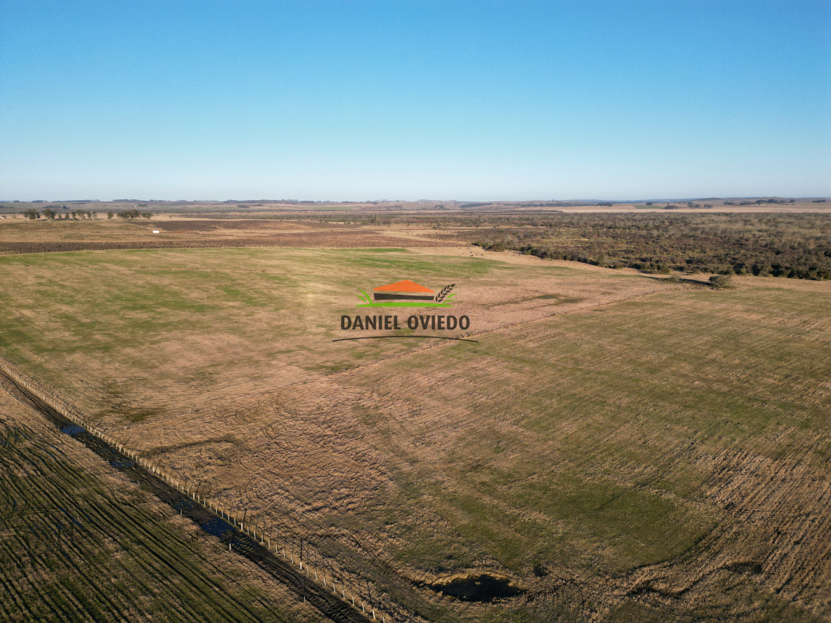 Campo Ref.223/Establecimiento-de-760-hás-en-venta-en-Cerro-Largo. - Establecimiento de 760 hás en venta en Cerro Largo.