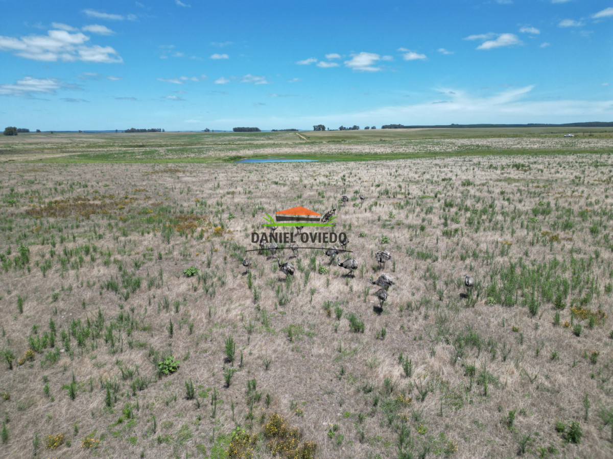 Campo Ref.359/Estancia-de-945-has-en-venta-en-Cerro-Largo. - Estancia de 945 has en venta en Cerro Largo.