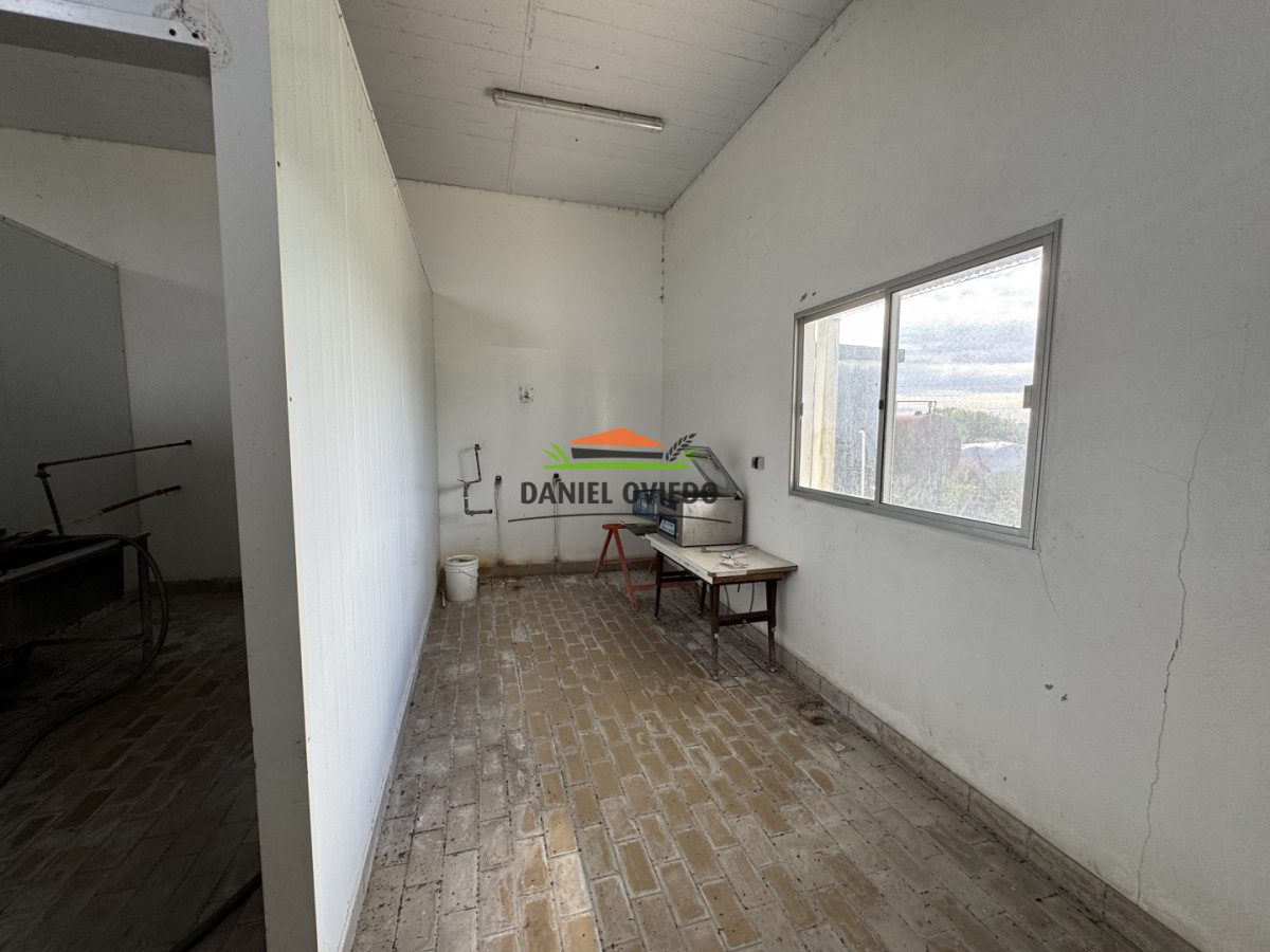 Campo Ref.377/Establecimiento-con-f - Establecimiento con fábrica y 33 Hás de campo - Instalaciones y equipamiento incluidos | Colonia