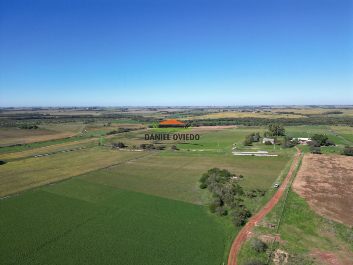 Campo Ref.381/Campo-agr - Campo agrícola en venta en zona de Víboras, Colonia.