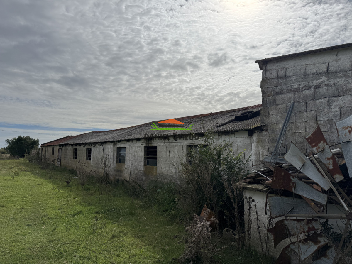 Campo Ref.377/Establecimiento-con-f - Establecimiento con fábrica y 33 Hás de campo - Instalaciones y equipamiento incluidos | Colonia