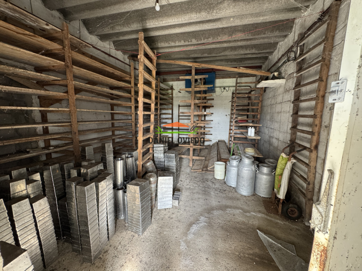 Campo Ref.377/Establecimiento-con-f - Establecimiento con fábrica y 33 Hás de campo - Instalaciones y equipamiento incluidos | Colonia