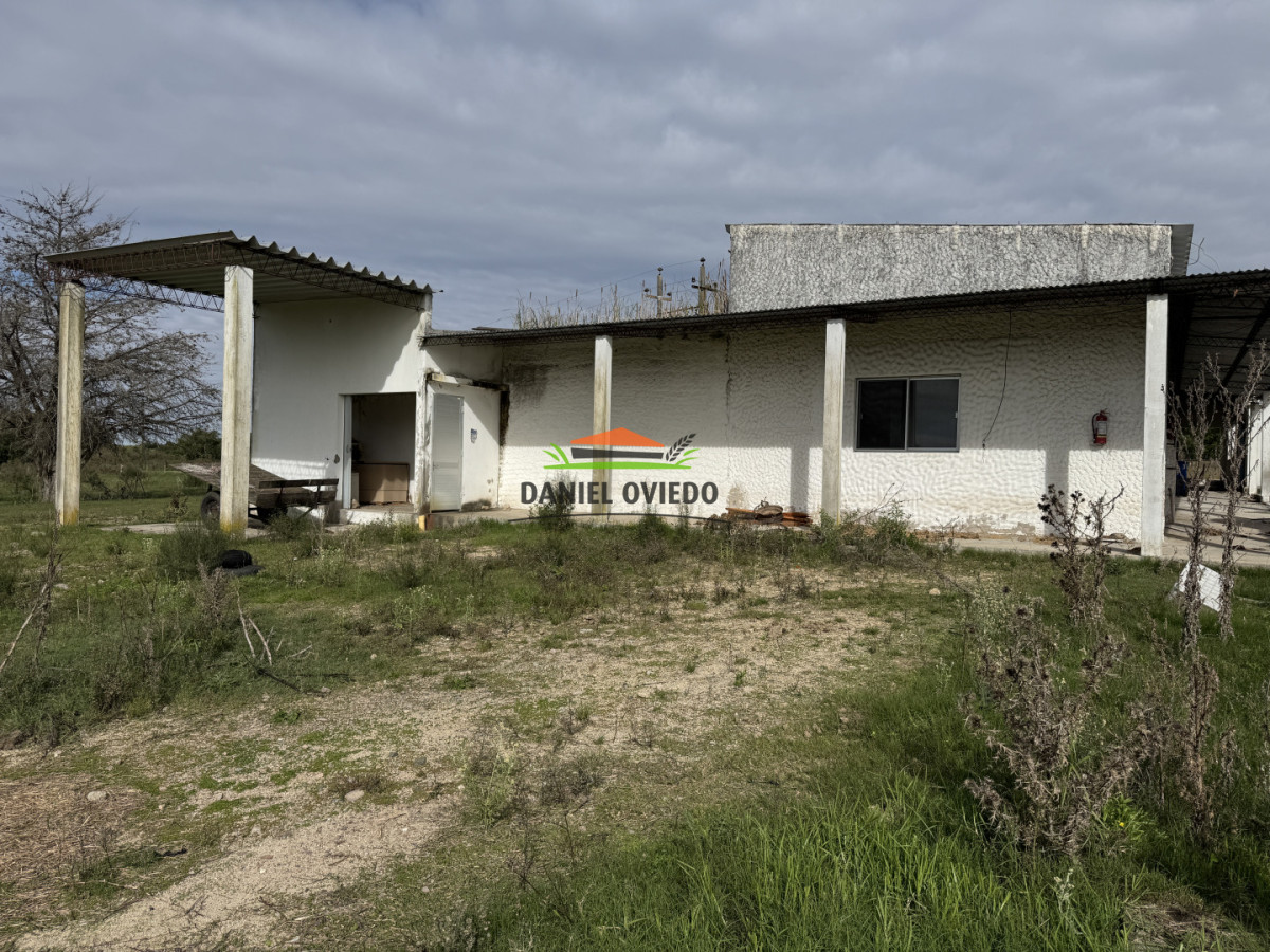 Campo Ref.377/Establecimiento-con-f - Establecimiento con fábrica y 33 Hás de campo - Instalaciones y equipamiento incluidos | Colonia