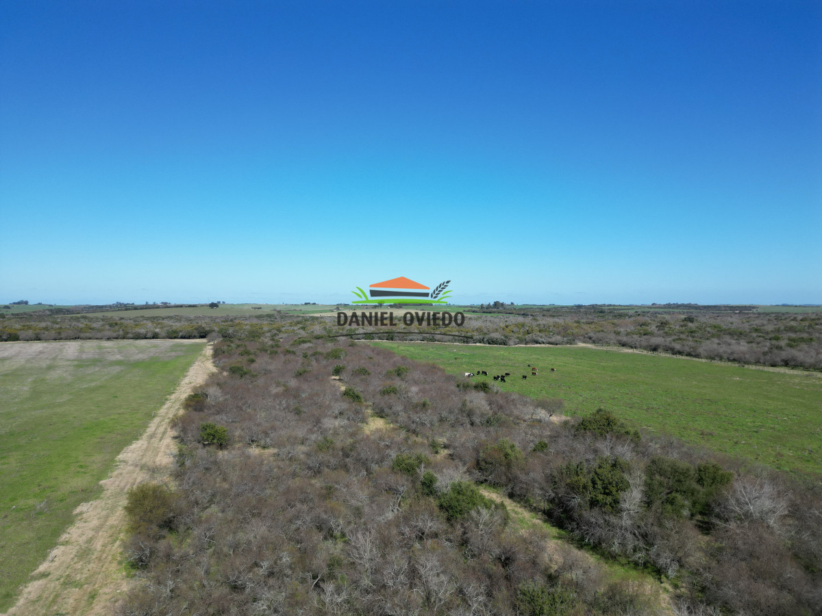 Campo Ref.243/Campo-agrícola-ganadero-en-venta-con-costa-de-arroyo. - Campo agrícola ganadero en venta con costa de arroyo.