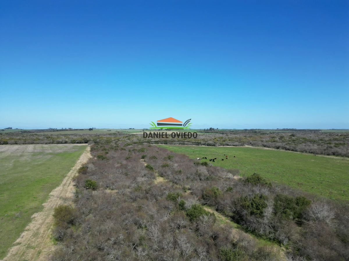 Campo Ref.243/Campo-agrícola-ganadero-en-venta-con-costa-de-arroyo. - Campo agrícola ganadero en venta con costa de arroyo.