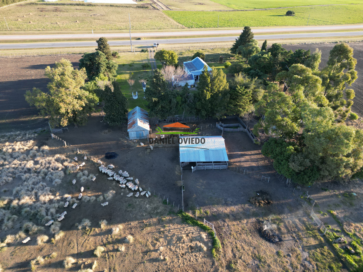 Campo Ref.209 - Excepcional ubicación en ruta 1 y campo productivo donde nadie vende.