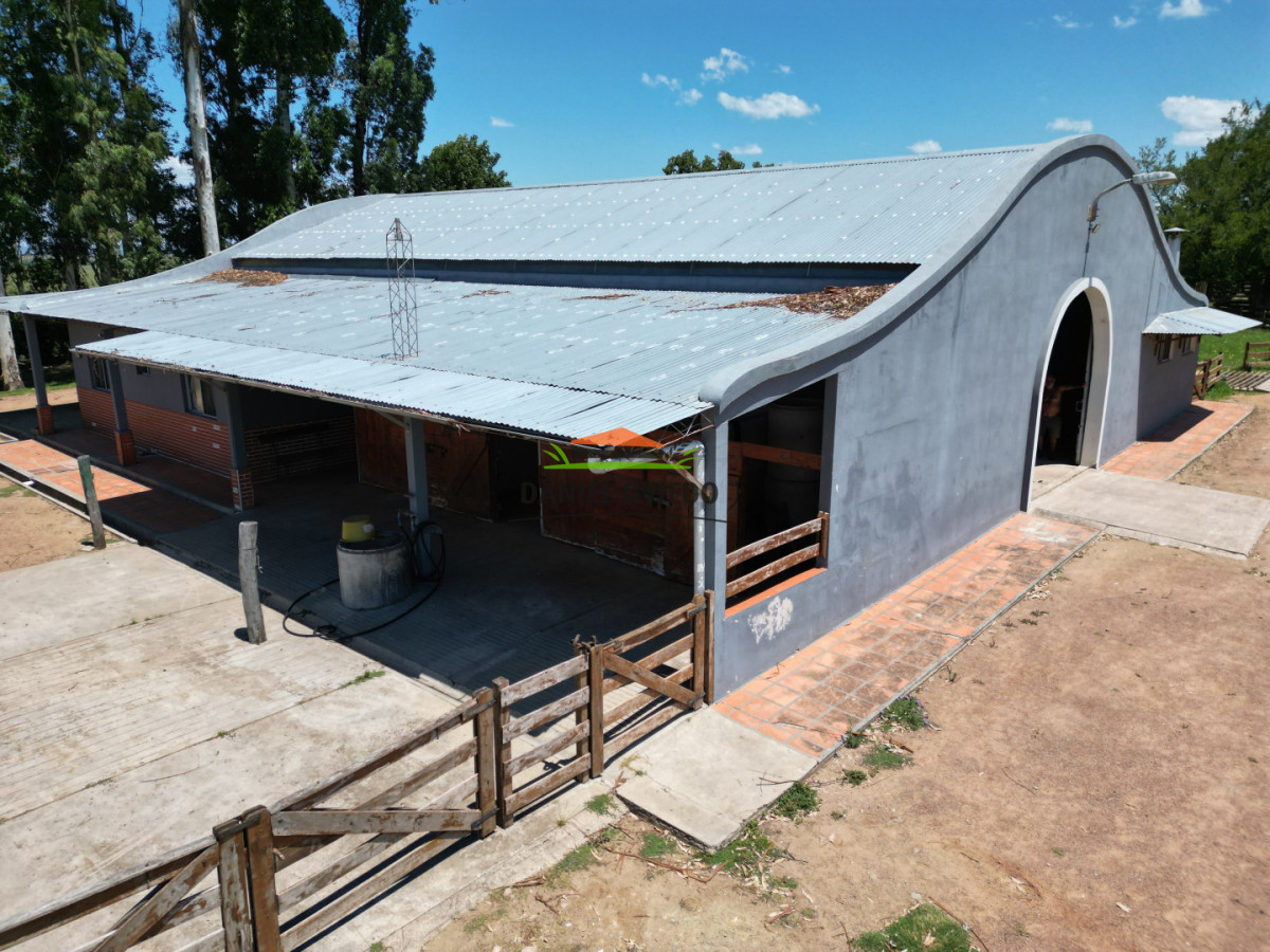 Campo Ref.357/Muy-buen-establecimiento-completo-en-venta-en-ruta-26-proximo-a-Melo. - Muy buen establecimiento completo en venta en ruta 26 proximo a Melo.