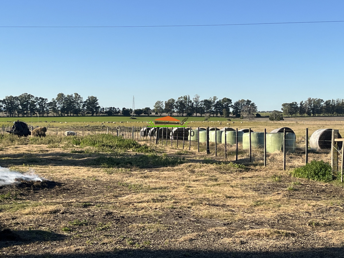 Campo Ref.209 - Excepcional ubicación en ruta 1 y campo productivo donde nadie vende.