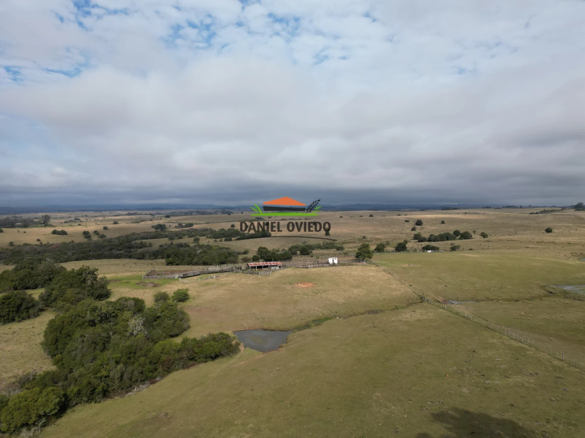 Campo Ref.245/1.350-has-ganaderas-en-arrendamiento-Noreste-de-Cerro-Largo. - 1.350 has ganaderas en arrendamiento Noreste de Cerro Largo.