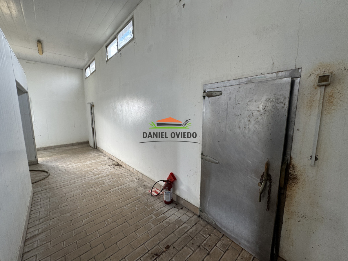 Campo Ref.377/Establecimiento-con-f - Establecimiento con fábrica y 33 Hás de campo - Instalaciones y equipamiento incluidos | Colonia