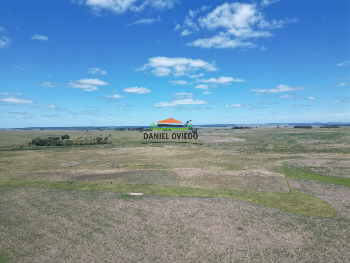 Campo Ref.359/Estancia-de-945-has-en-venta-en-Cerro-Largo. - Estancia de 945 has en venta en Cerro Largo.