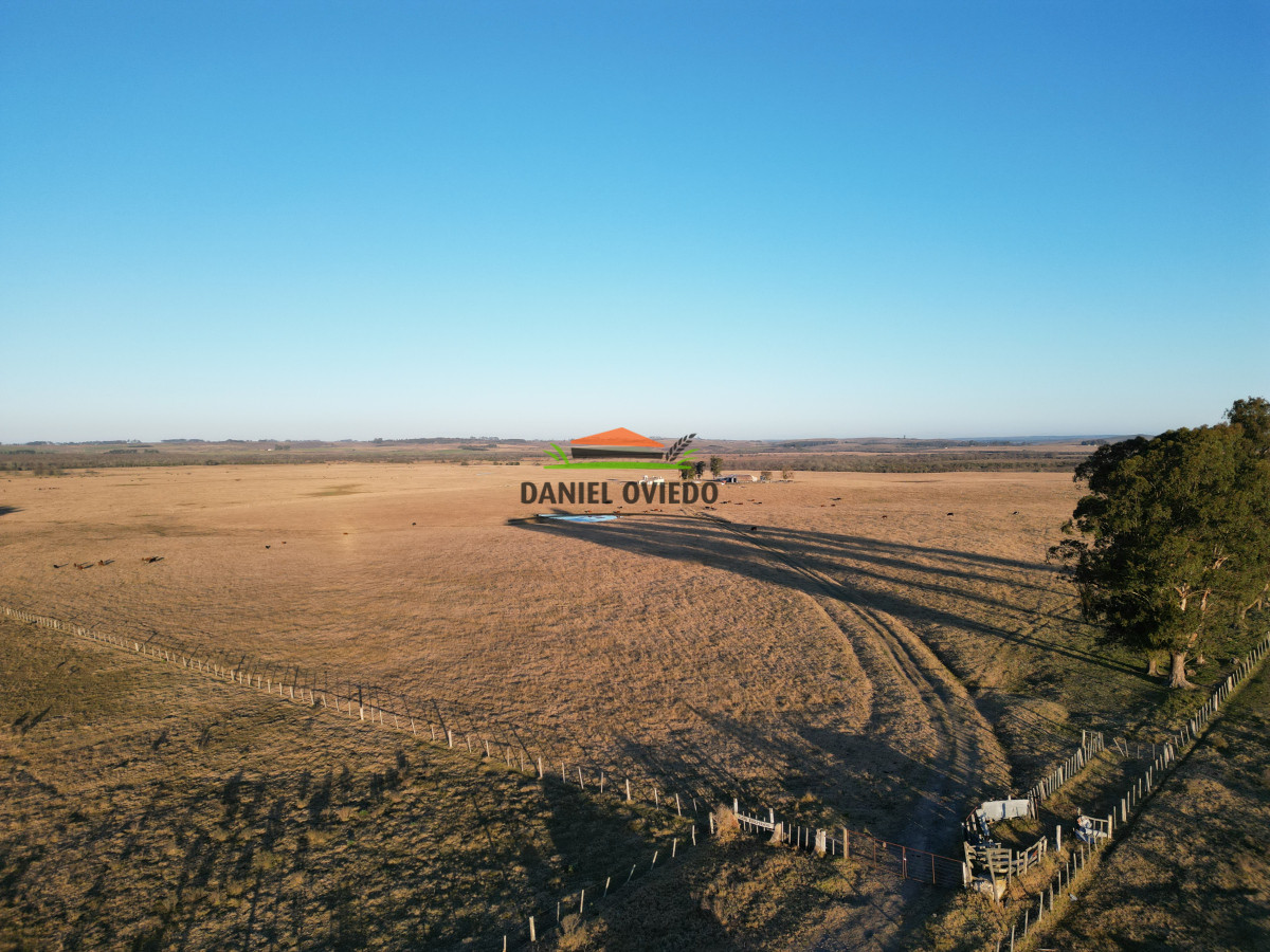 Campo Ref.223/Establecimiento-de-760-hás-en-venta-en-Cerro-Largo. - Establecimiento de 760 hás en venta en Cerro Largo.