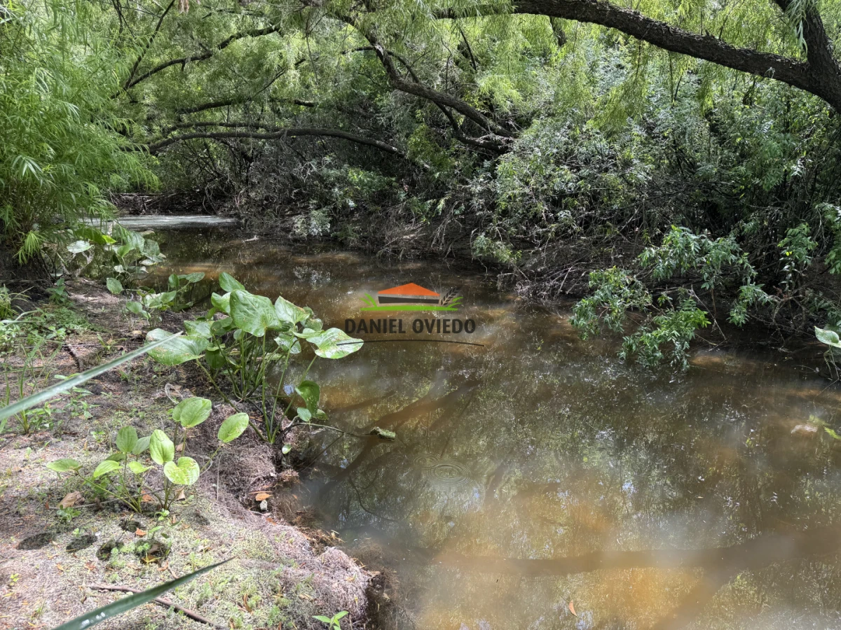 Campo Ref.336/Campo-agr - Campo agrícola de 18,9 hás con renta anual - Nueva Helvecia