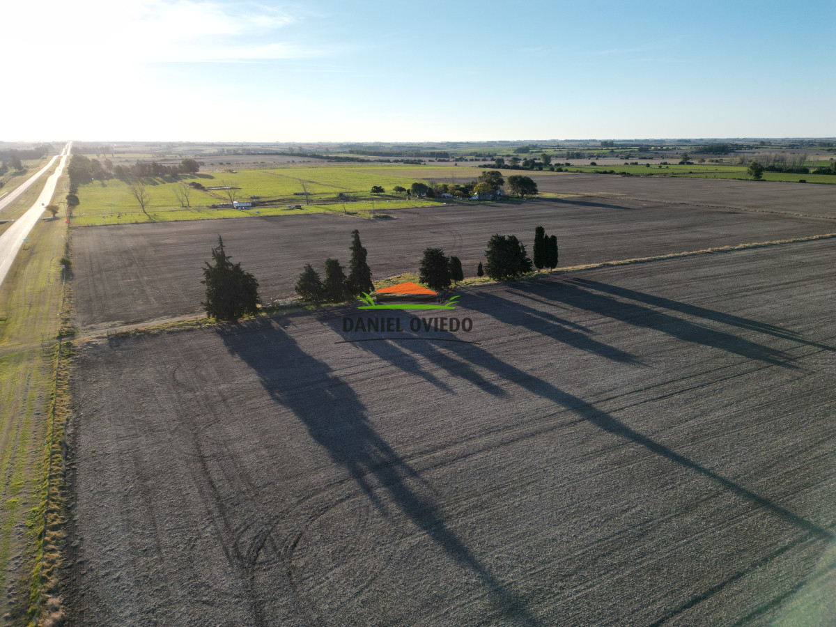 Campo Ref.209 - Excepcional ubicación en ruta 1 y campo productivo donde nadie vende.