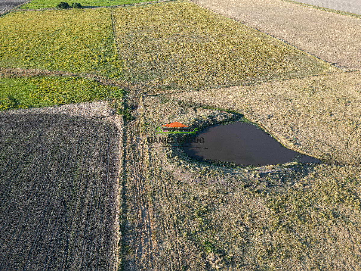 Campo Ref.209 - Excepcional ubicación en ruta 1 y campo productivo donde nadie vende.