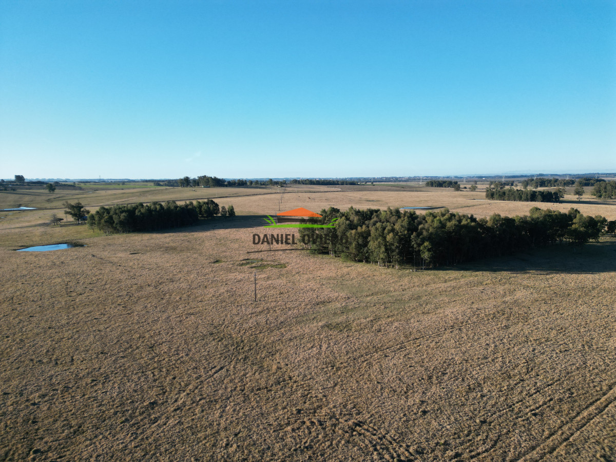 Campo Ref.223/Establecimiento-de-760-hás-en-venta-en-Cerro-Largo. - Establecimiento de 760 hás en venta en Cerro Largo.